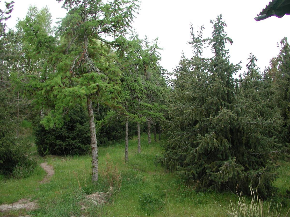 Legenda Health Resort Kaji-Say Bagian luar foto